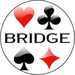 Bridge logo
